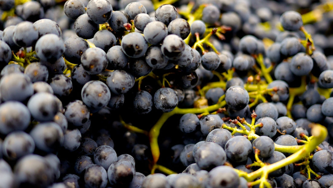 10 Benefits of Acai Berries on Skin